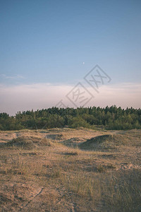 夕阳下的田野和树林景观图片