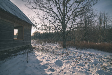 冬天废弃的旧木乡村房子图片