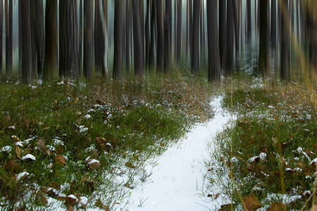 冬季的森林道路雪和运图片