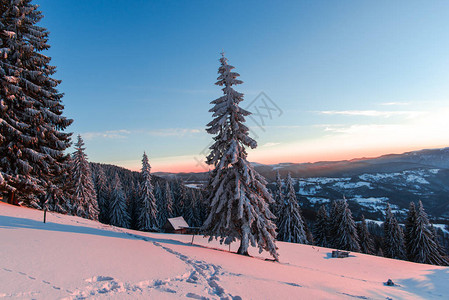 冬季寒冬自然概念和蓝天雪花图片