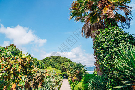 OedoBotania岛热带花园夏季在韩国Ge高清图片