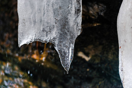冬季融化的冰柱图片