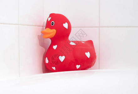 浴缸中的大红橡胶鸭有图片