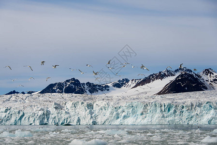 海边的冰川图片