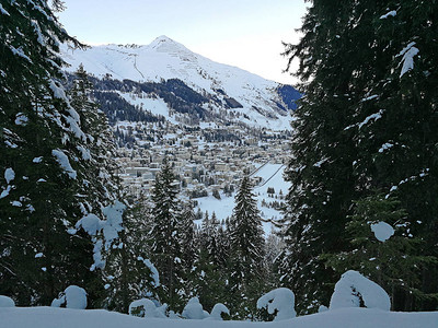 瑞士森林滑雪山坡的达图片