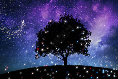 有树和星空的神奇夜景图片