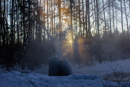 冬天的加奇纳间歇泉从地面喷出的水柱从水中生长的冰图片