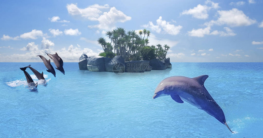 海豚游泳跳跃在蓝海云海洋图片