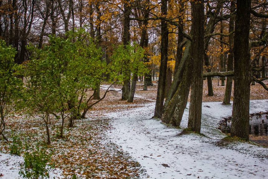 美丽的冬季公园图片