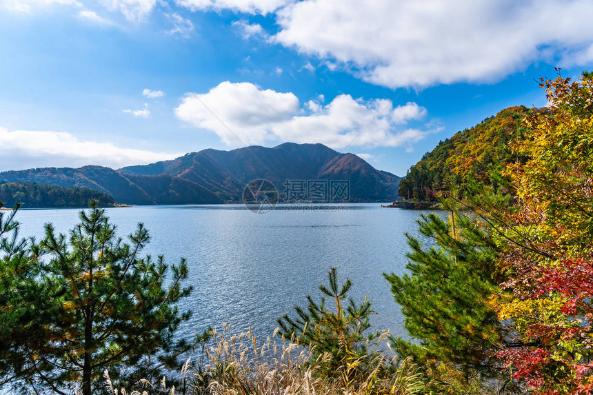 秋天日本山上正桥川口子湖周图片