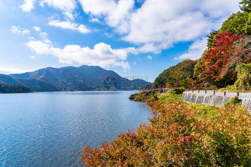 秋天日本山上正桥川口子湖周图片