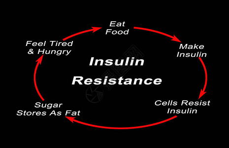 胰岛素抵抗的发展图片