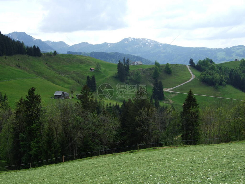 Zrchersmhle村的牧场和丘陵瑞图片