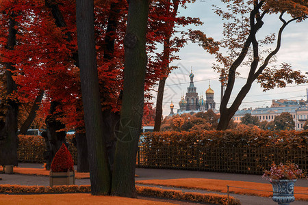 金秋夏日花园圣彼得堡背景图片