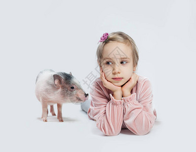 小朋友白种背景的女孩和小猪图片