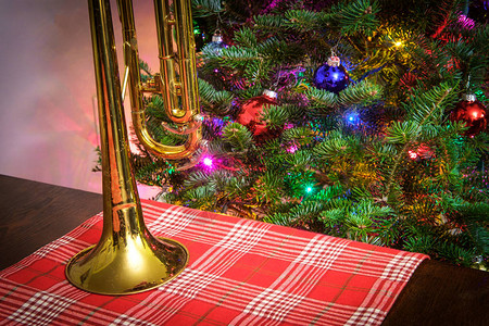 圣诞树背景的季节日音乐图片