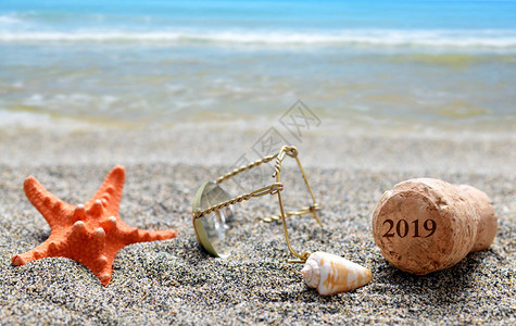 2019和贝壳上的海星在沙滩上新年快乐的概念笑声图片