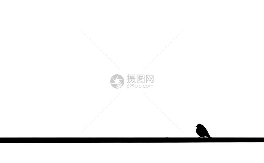 小鸟背对着向左和白背景看的电缆图片