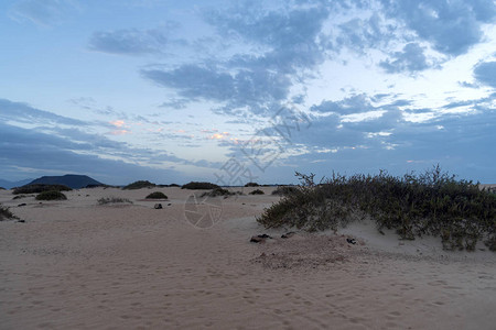 西班牙加那利群岛Fuerteventura的Corra图片