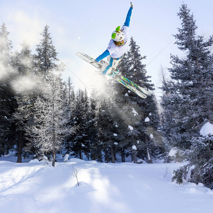 在新鲜的雪中跳台滑雪图片