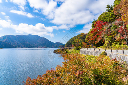 秋天日本山上正桥川口子湖周图片