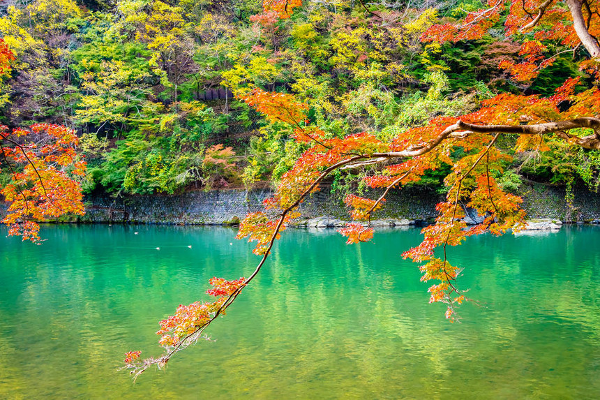 美丽的阿拉希山河在日本京都秋季湖周围有图片