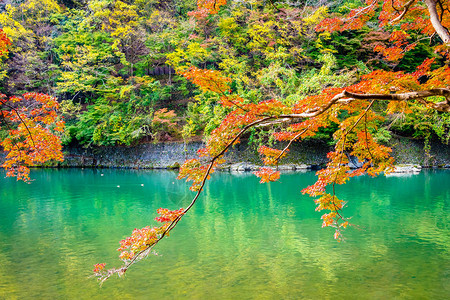 美丽的阿拉希山河在日本京都秋季湖周围有背景图片