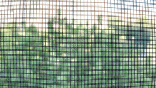 窗户上的蚊子网防止昆虫感图片