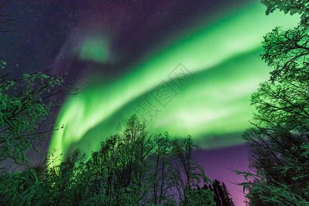 极地北极光北极光天星在斯堪的纳维亚挪威特罗姆瑟农场图片