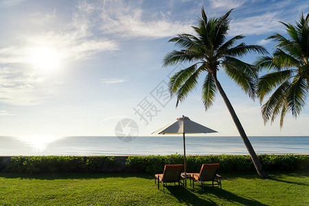 一对坐在绿草上的沙滩椅和大棕榈树在日出美丽的蓝图片