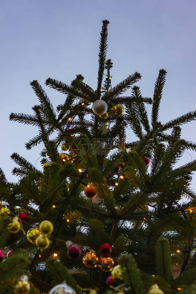 南德部蓝天上盛装的圣诞树图片