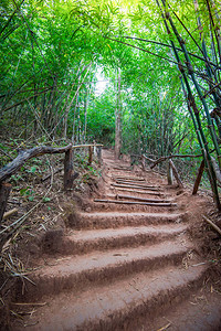 在森林地面的山坡步行道上楼梯图片