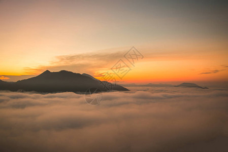 雾蒙的森林山雾顶视图雾蒙的日出景观图片