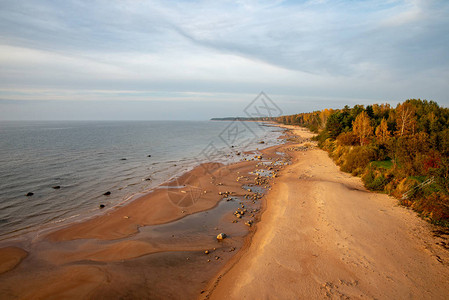 秋色阴天退潮的沙滩图片