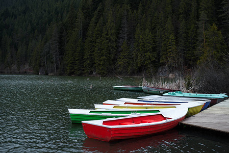 湖上五颜六色的小船背景上的森林图片