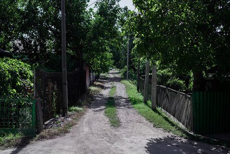 村里的老街绿树夏日图片