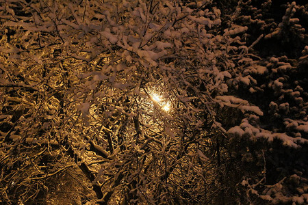 照片风景下雪的冬天晚上俄罗斯的冬天有很多雪图片
