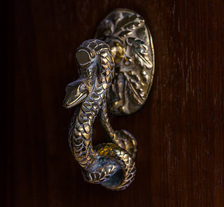 门上装有蛇形的黄铜敲门漂亮的房子入口图片