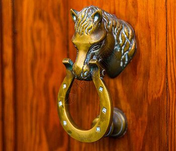 门上装有马形的黄铜敲门漂亮的房子入口图片