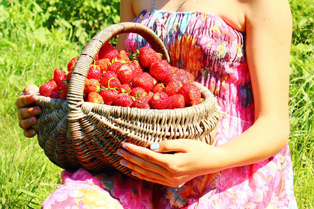手拿着篮子里的草莓放在草莓上图片