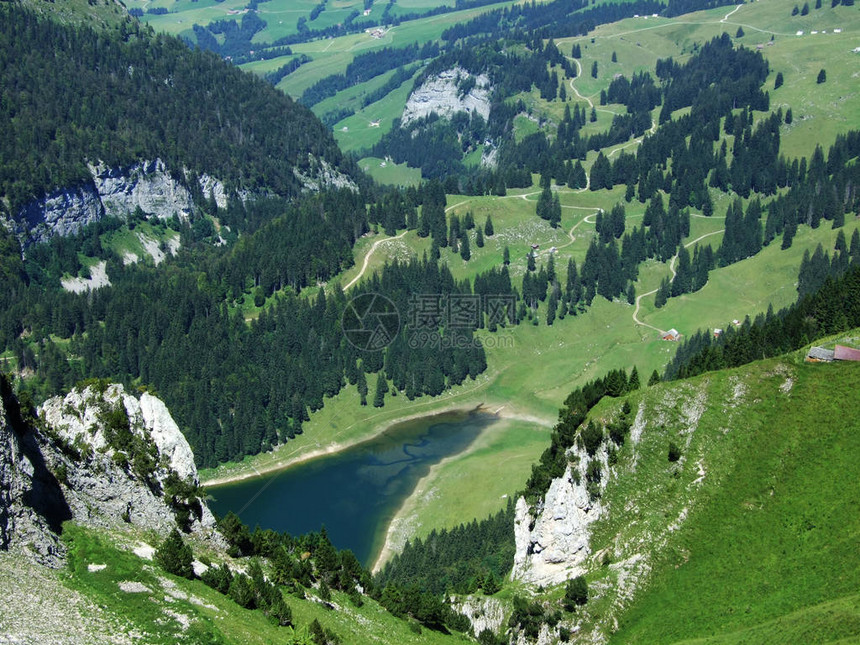 位于瑞士阿彭策尔内纳罗登州AlpineLakeSamtierss图片