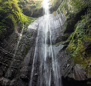 雄伟的瀑布在热带雨林的岩石悬崖上流动Madakaripura瀑布图片