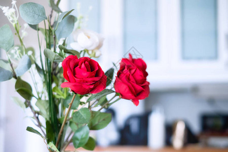 漂亮的红玫瑰家图片