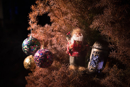 松树枝上的圣诞和装饰图片