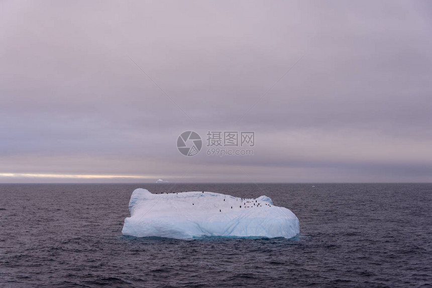 与企鹅在南极海的冰山图片