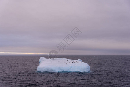 与企鹅在南极海的冰山图片