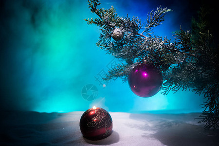 圣诞装饰松树枝上的小玩意儿图片