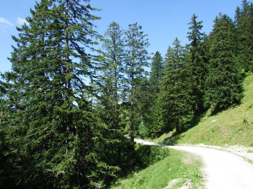 阿尔普斯坦山脉瑞士AppenzellInnerrhoden州图片