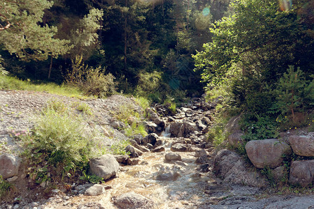 大自然石头上的山间溪流图片