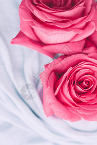 玫瑰花开婚礼假日和花园风格的概念优图片
